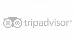 trip-advisor-logo-250x150-bw